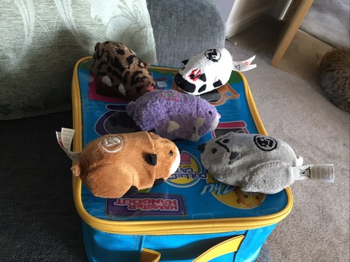 Zhu pets hamster - zhu, bundle