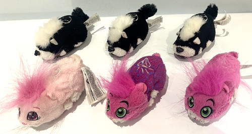 Zhu pets hamster - zhu,