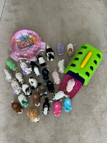 Zhu pets - zhu, and