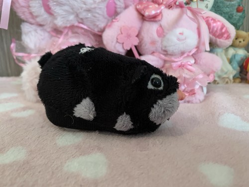 Zhu pets dezel - zhu,