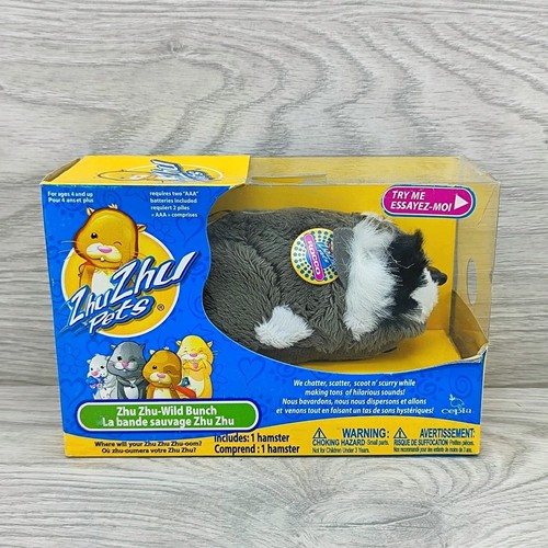 Rocco zhu pets - rocco, hamster