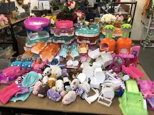 Zhu pets massive - zhu, lot