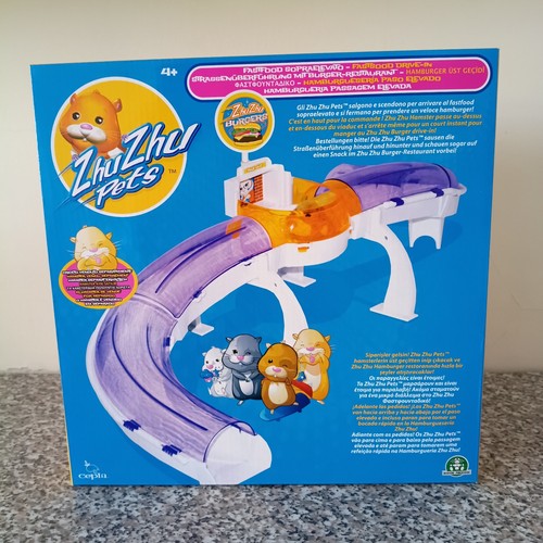 Zhu hamster pets - zhu,