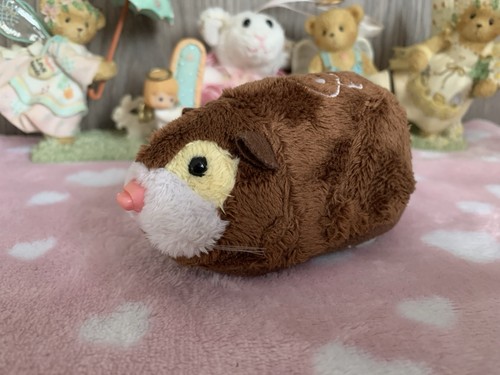 Zhu pets captain - zhu,