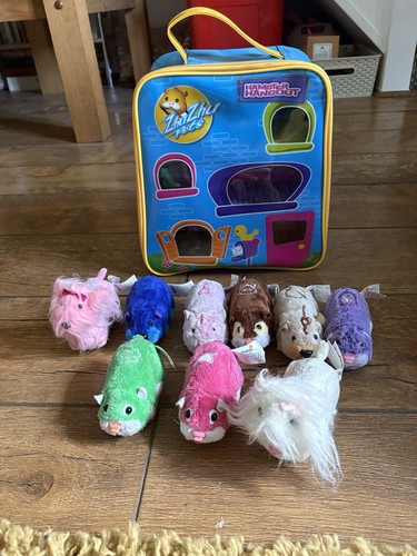 Zhu pets - pets, hamster