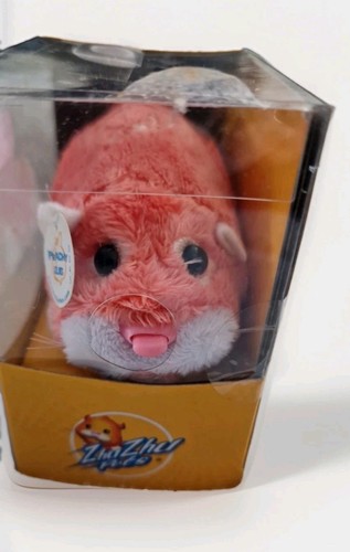 Zhu pets hamster - with, box