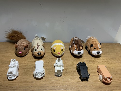 Zhu pets hamster bundle - hamster,
