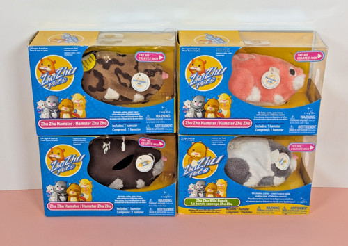 Zhu pets hamsters - zhu,