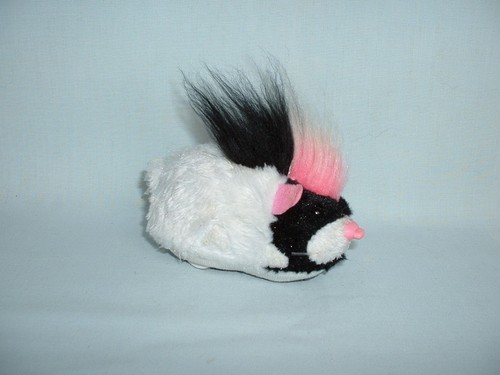 Zhu pets hamsters - zhu, rockstar