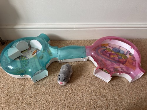 Zhu pets hamster - zhu,