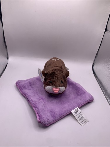 Zhu pet - zhu,