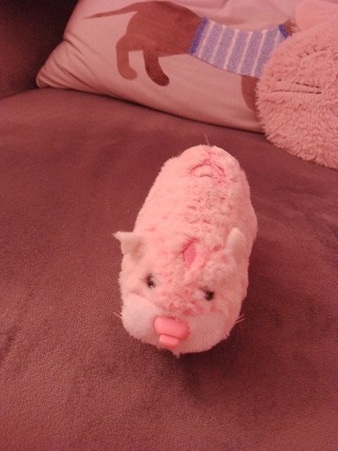 Interactive zhu hamster - zhu,