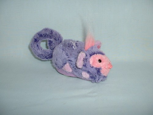 Zhu pets - pets, ozzy